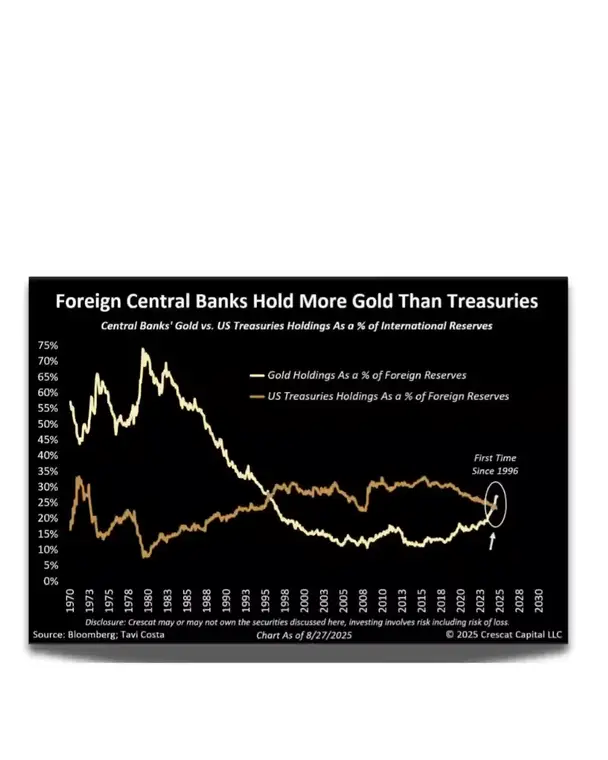 Central banks are buying gold, Video, Finance